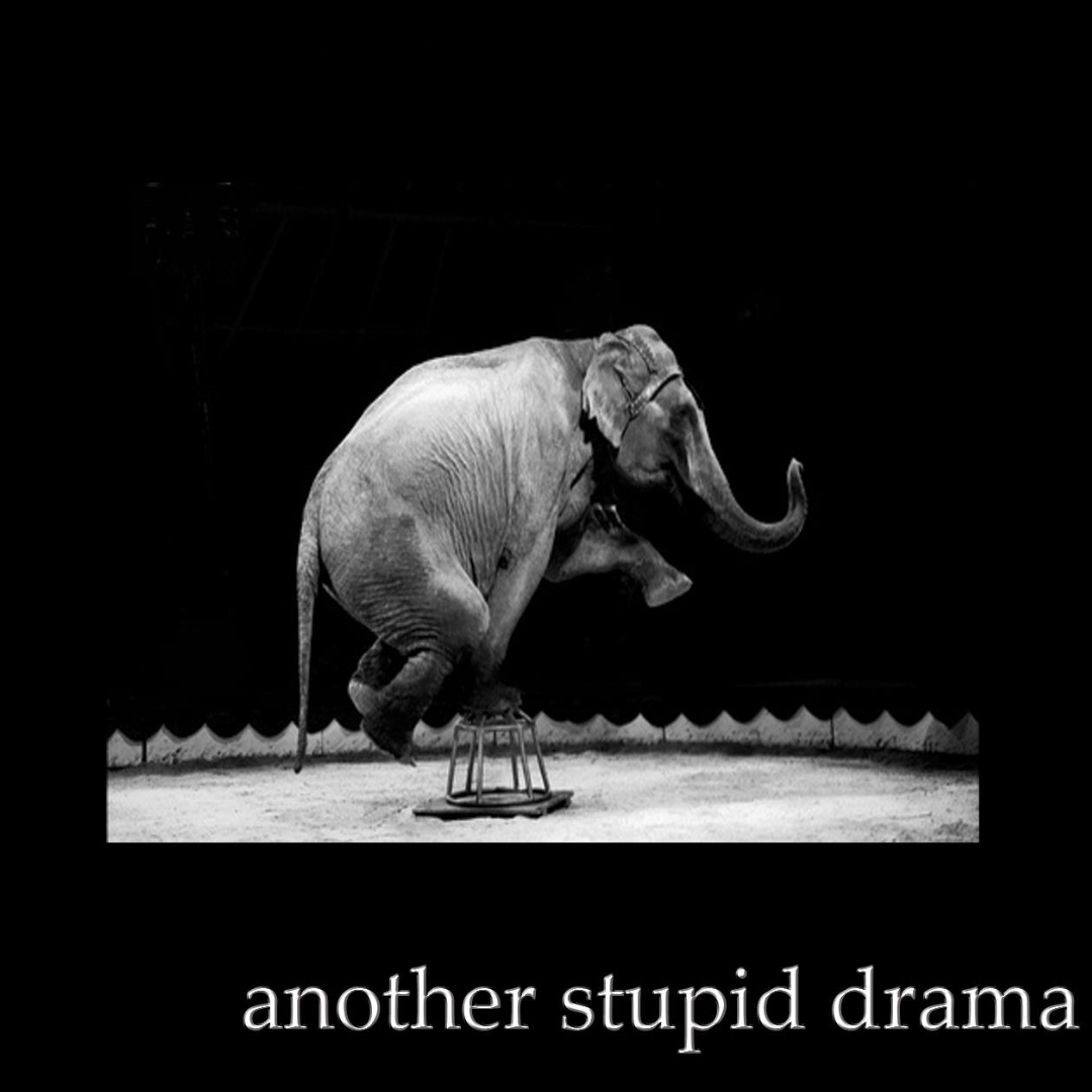 Another Stupid Drama by Stupid Drama